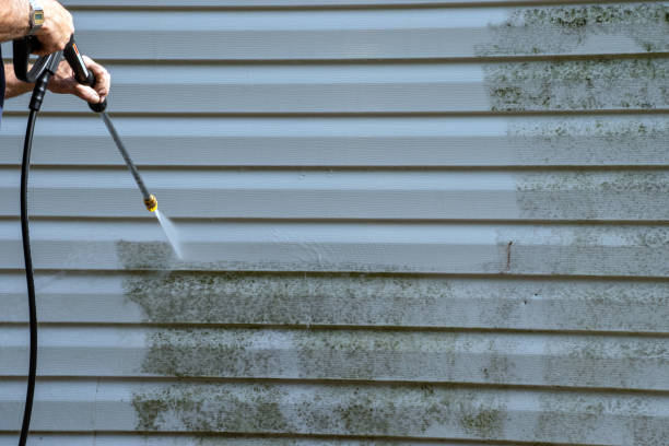 Best Property Management Cleanouts  in East Atlantic Beach, NY
